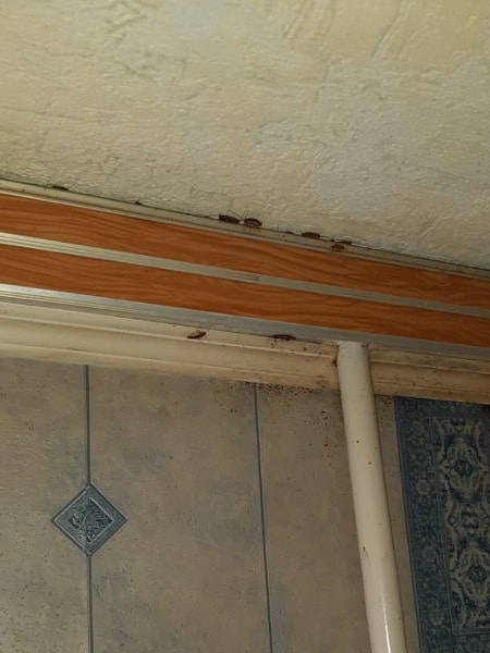 Уничтожение тараканов — Самара ул. Гая д. 32 post thumbnail